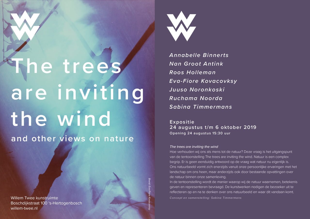 the trees are inviting the wind flyer