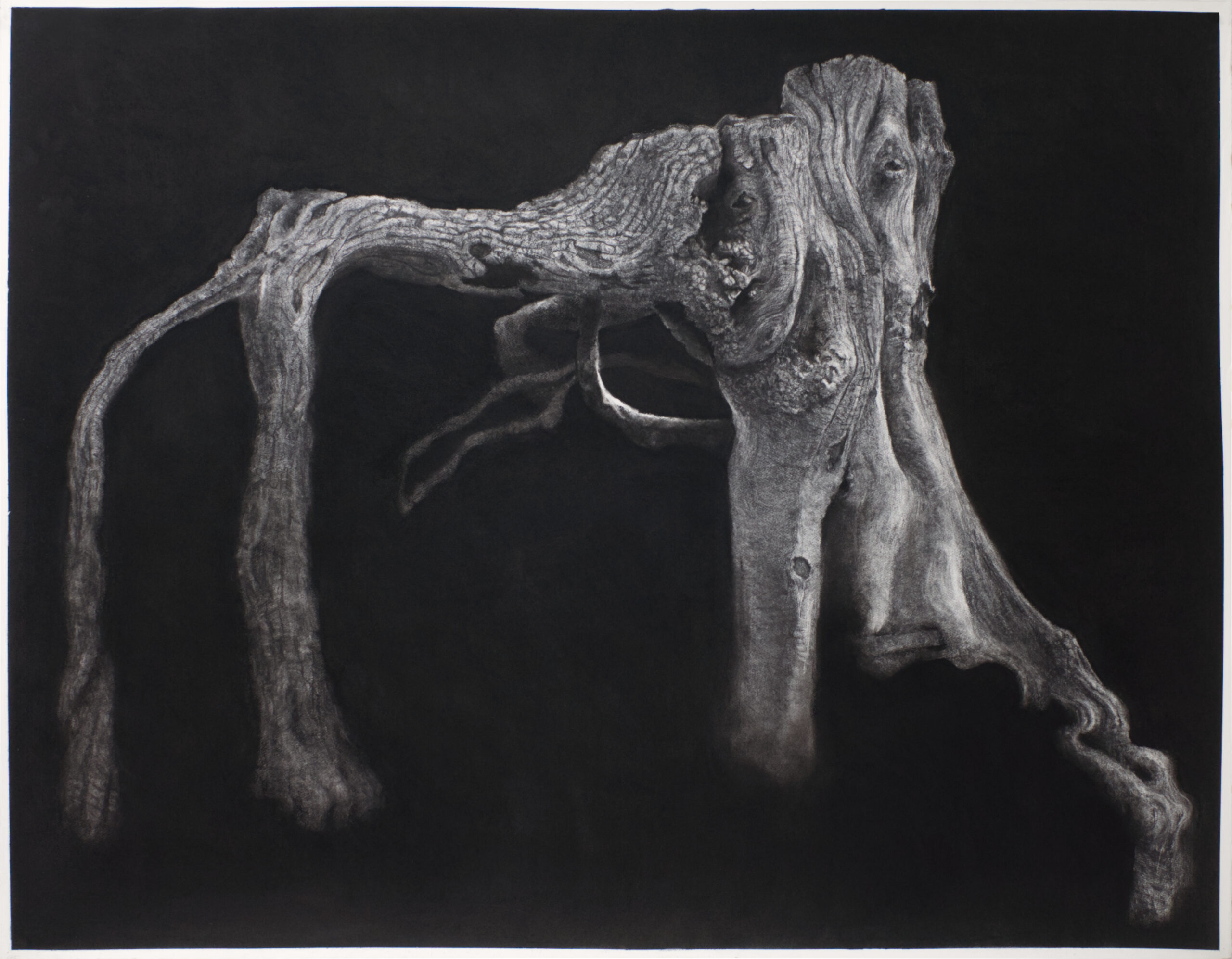 Roots 3