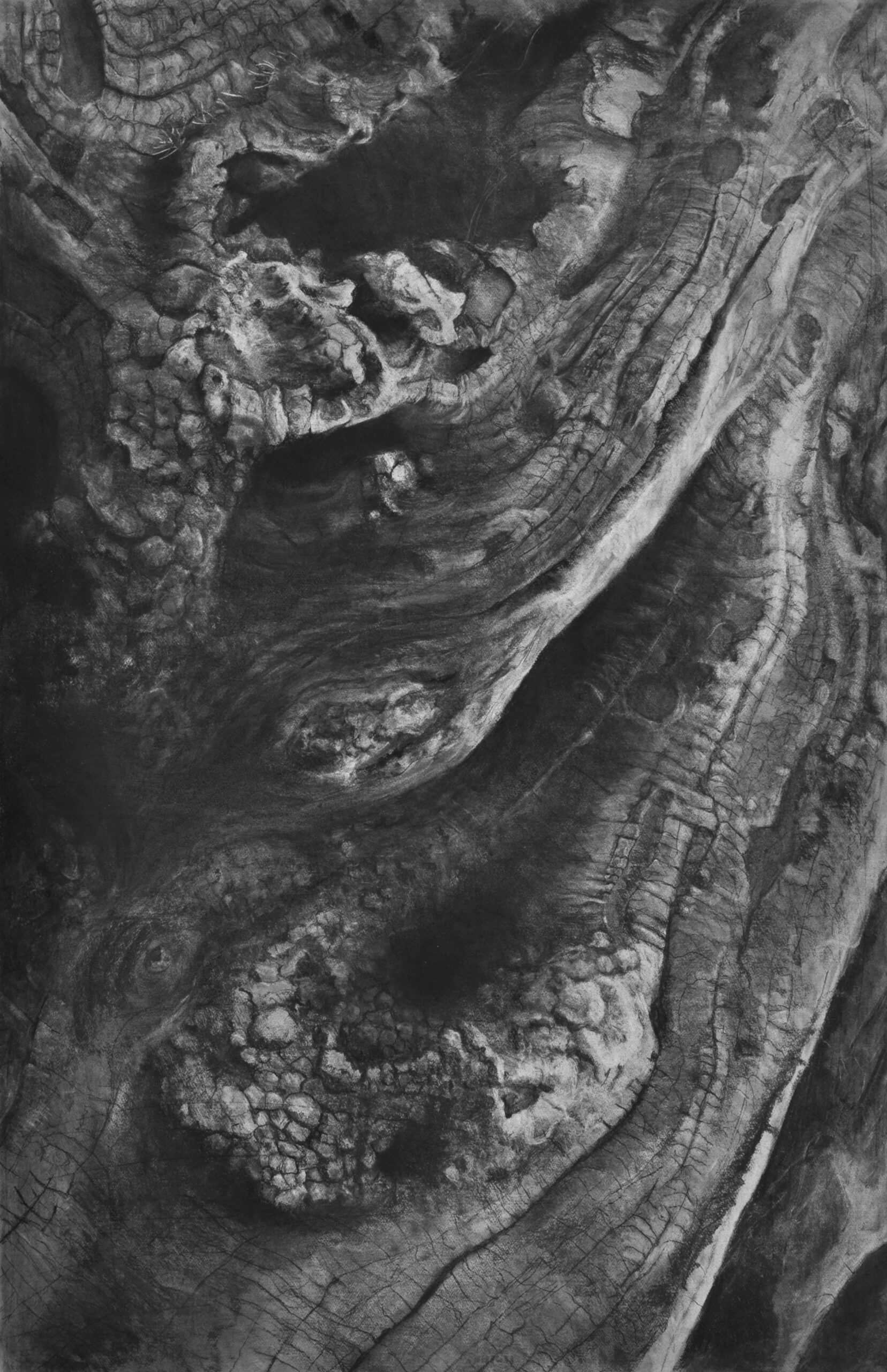 Roots 2