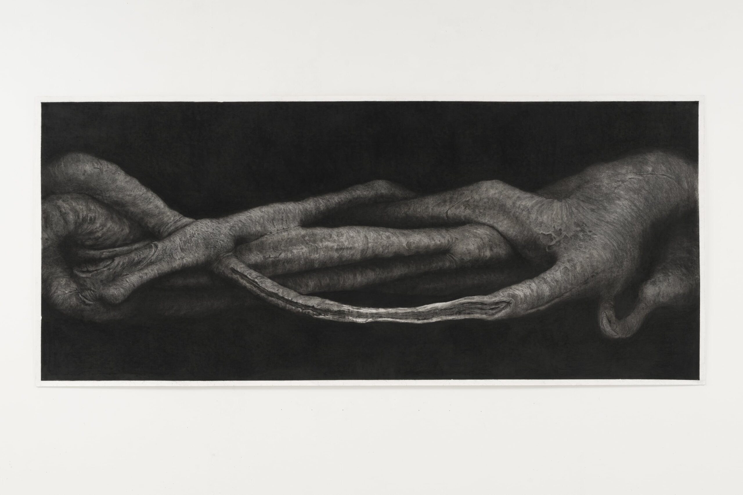 Caressing and Colliding, Sharing the Land, 13